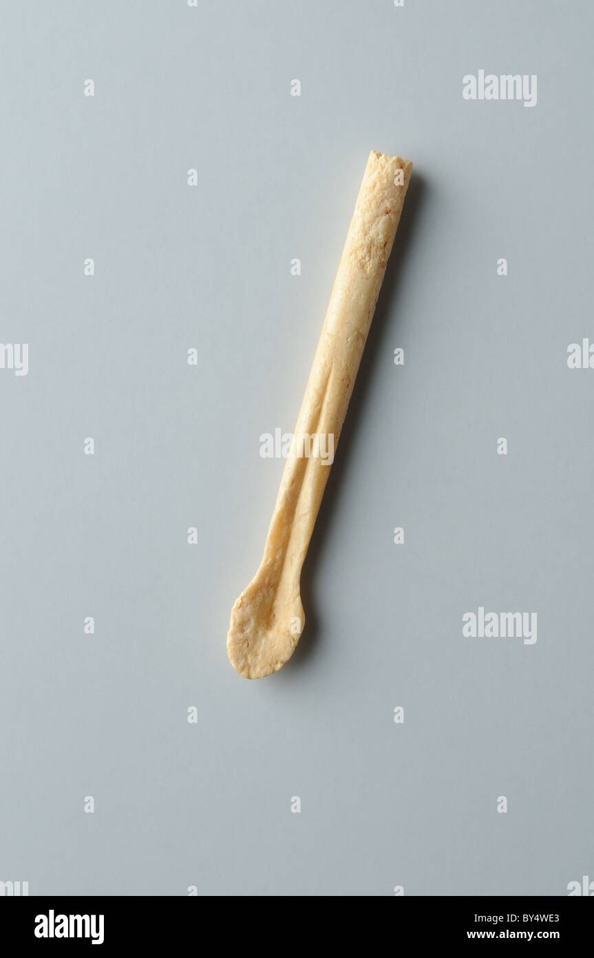 Ligula, small bone spoon use medical or cosmetic Roman era Complutum  ALCALA DE HENARES Madrid  SPAIN Stock Photo