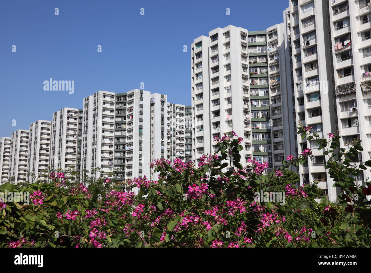 Modern highrise residential buildings in Kowloon, Hong Kong Stock Photo ...