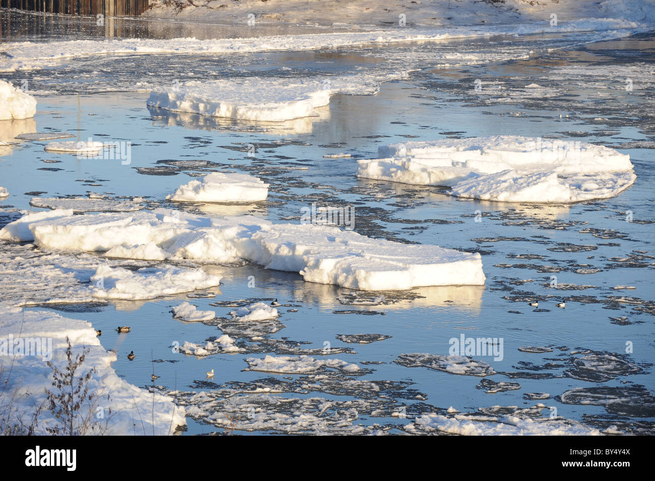 Ice bergs in the River Tay, Perth Stock Photo