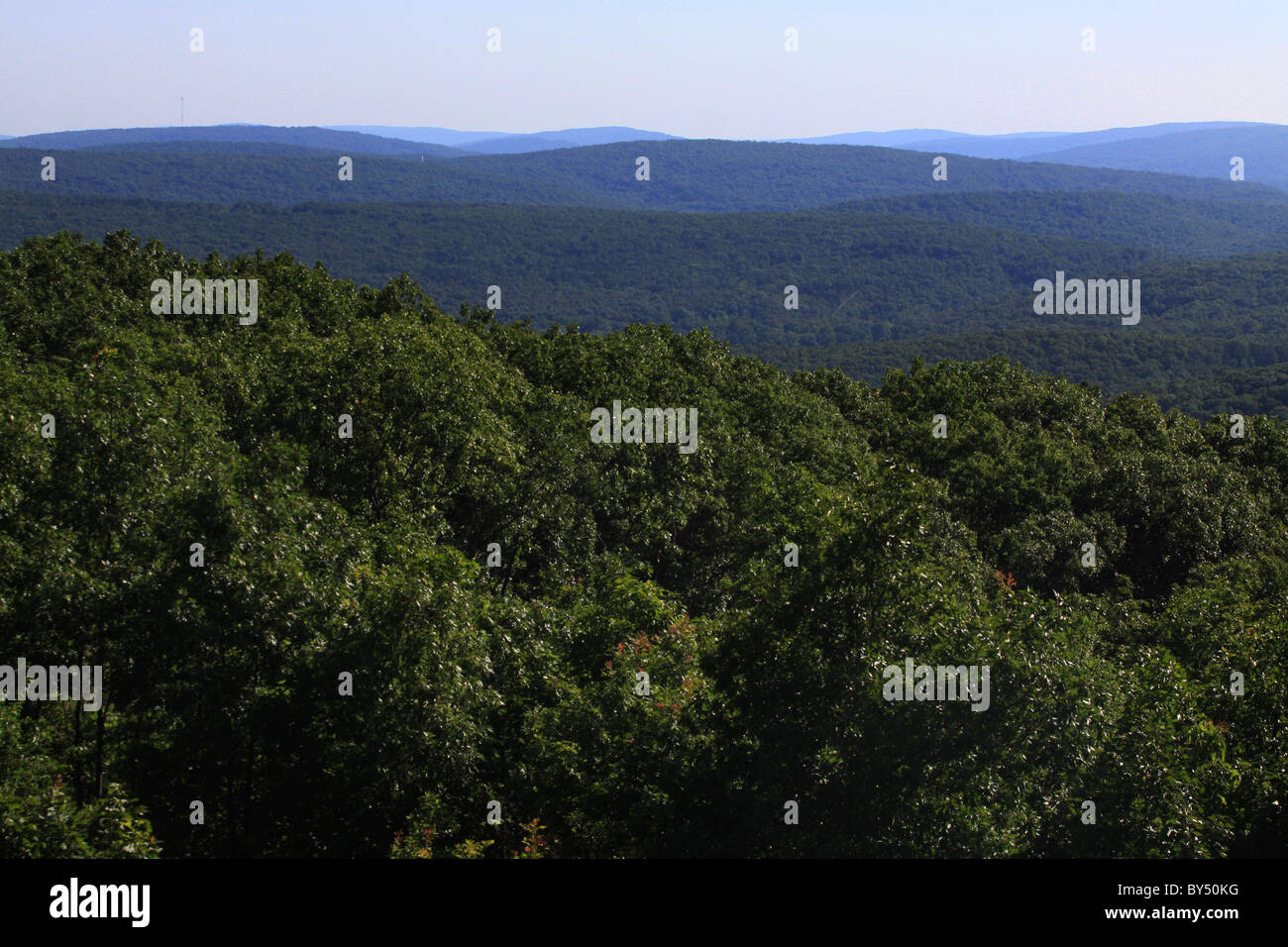 St. Francois Mountains Taum Sauk Mountain State Park Missouri Stock