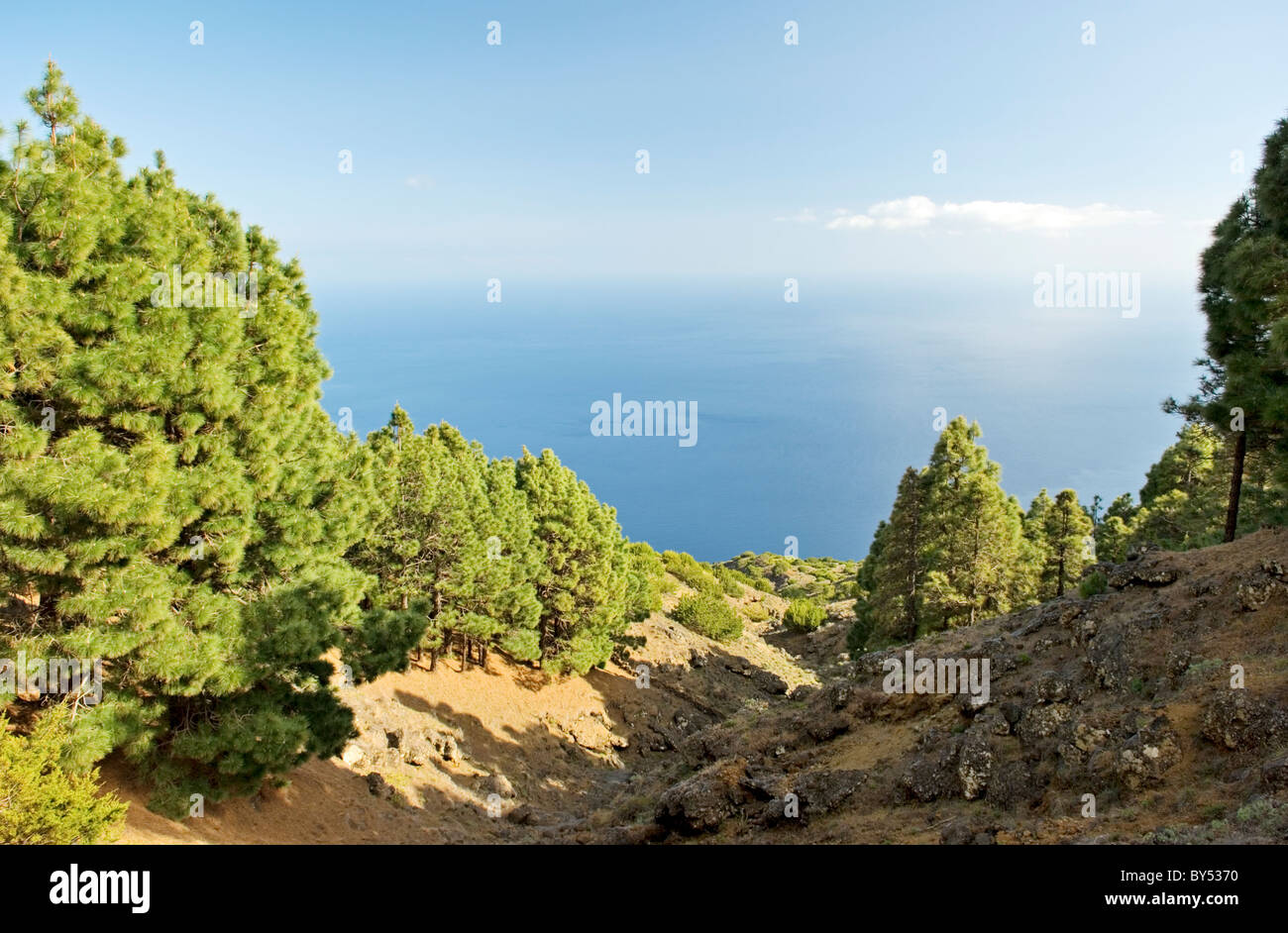 El Hierro, Canary Islands, Spain. Stream cut gullies and pine forest lead down to the south west coast in the El Julan region Stock Photo