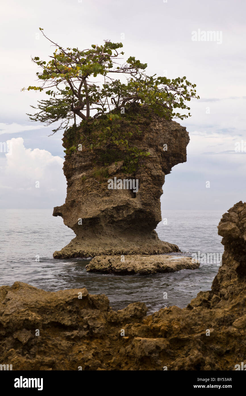 Caribbean Sea meets the coral coast of the Gandoca-Manzanillo Wildlife ...