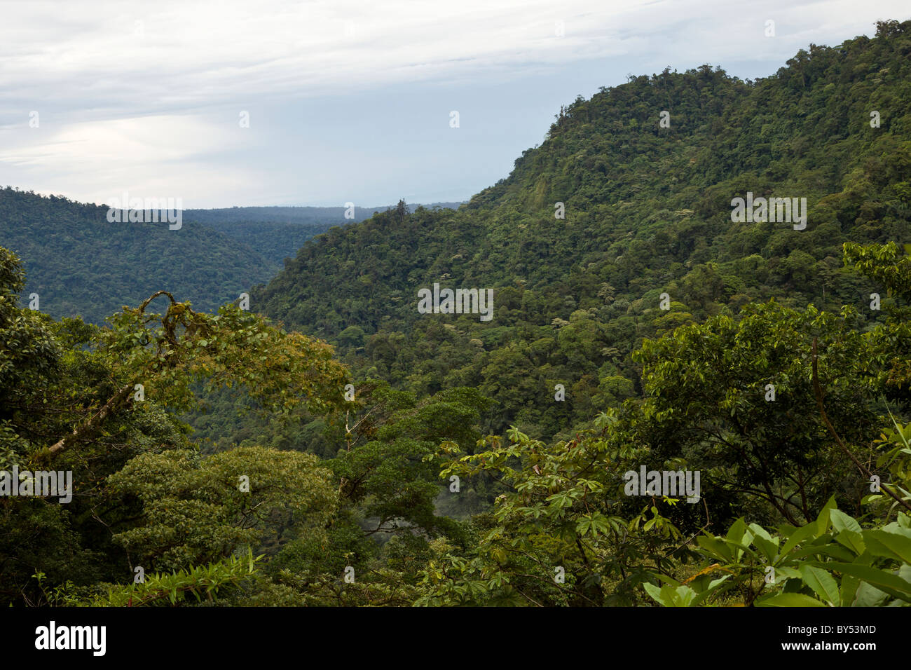 Tropical rainforest and cloud forest encompass the Braulio Carrillo National Park in Heredia Province, Costa Rica. Stock Photo