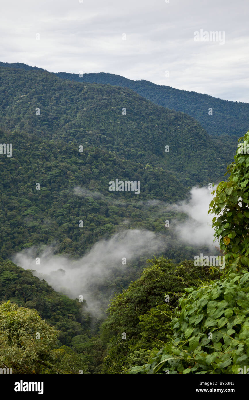 Tropical rainforest and cloud forest encompass the Braulio Carrillo National Park in Heredia Province, Costa Rica. Stock Photo