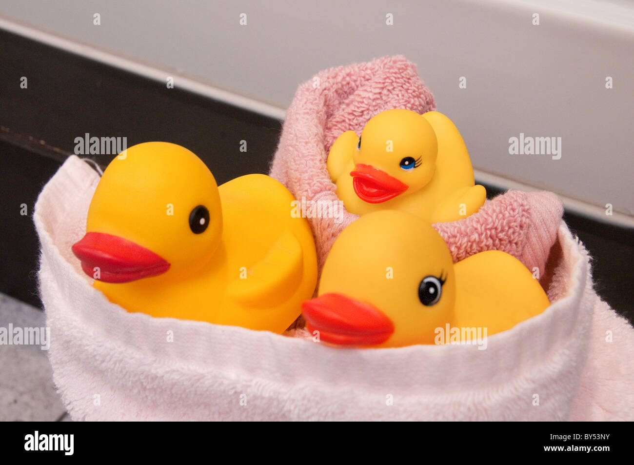 Rubber duckies drying off with towel. Stock Photo