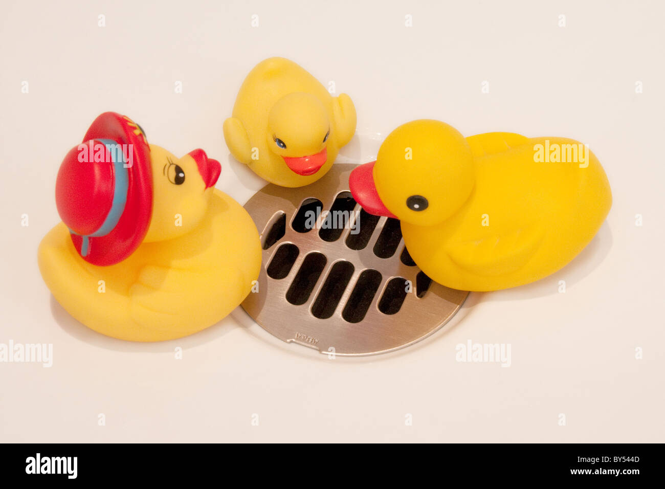 Rubber duckies look for water in the bath tub Stock Photo Alamy