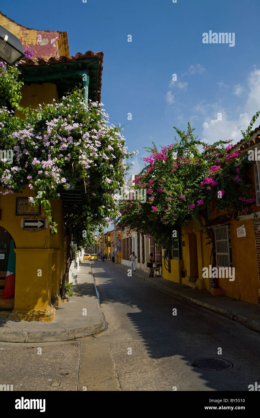 Beautiful street in Cartagena, Colombia Stock Photo