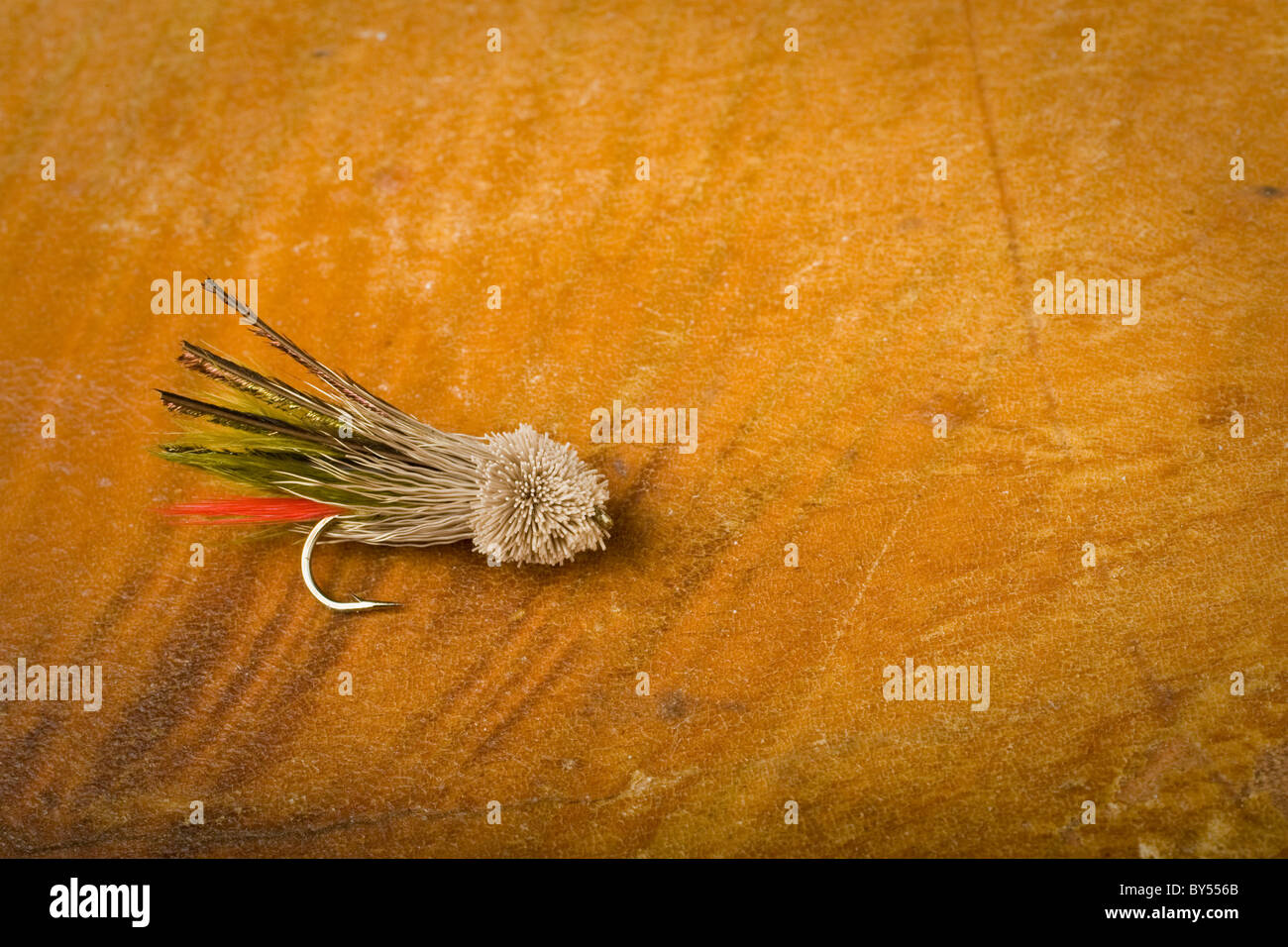 a single fly Stock Photo - Alamy