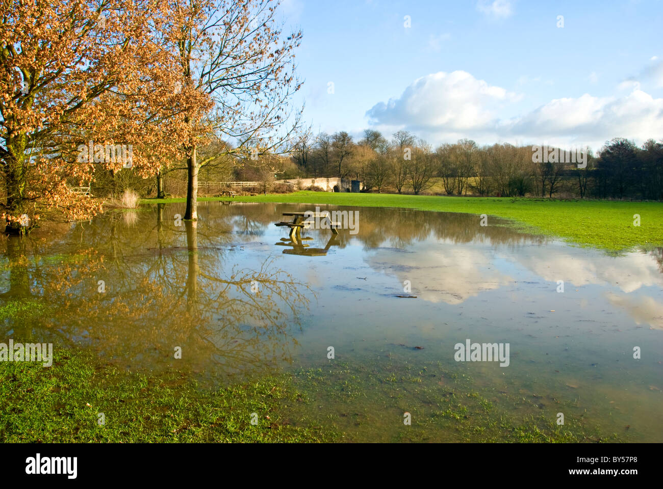 reflections-in-a-flooded-field-stock-photo-alamy