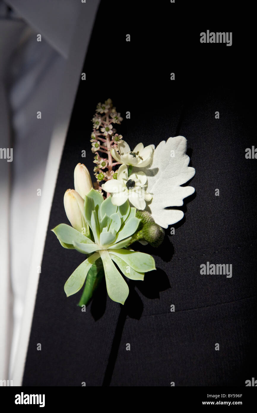 Detail of a corsage on the lapel of a man Stock Photo