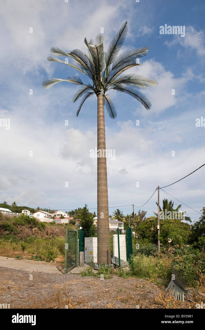 Cellular repeater tower disguised as a palm tree Stock Photo
