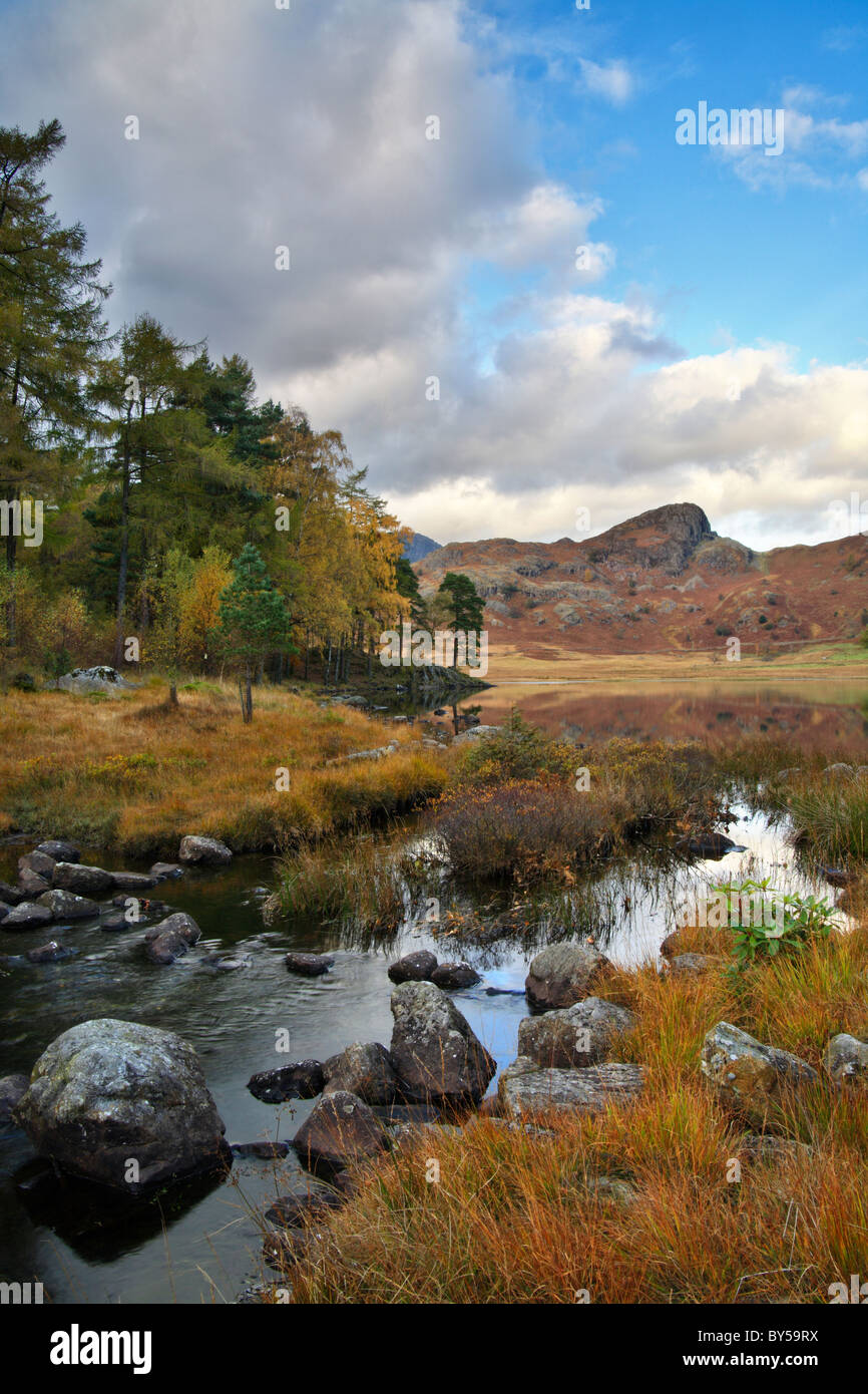 Blea Tarn in the Autumn, Little Langdale, Lake District National Park Stock Photo