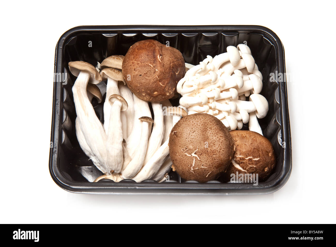Packet or box of Chinese mushrooms, Enoki,Honshimeji and Shitake isolated on a white studio