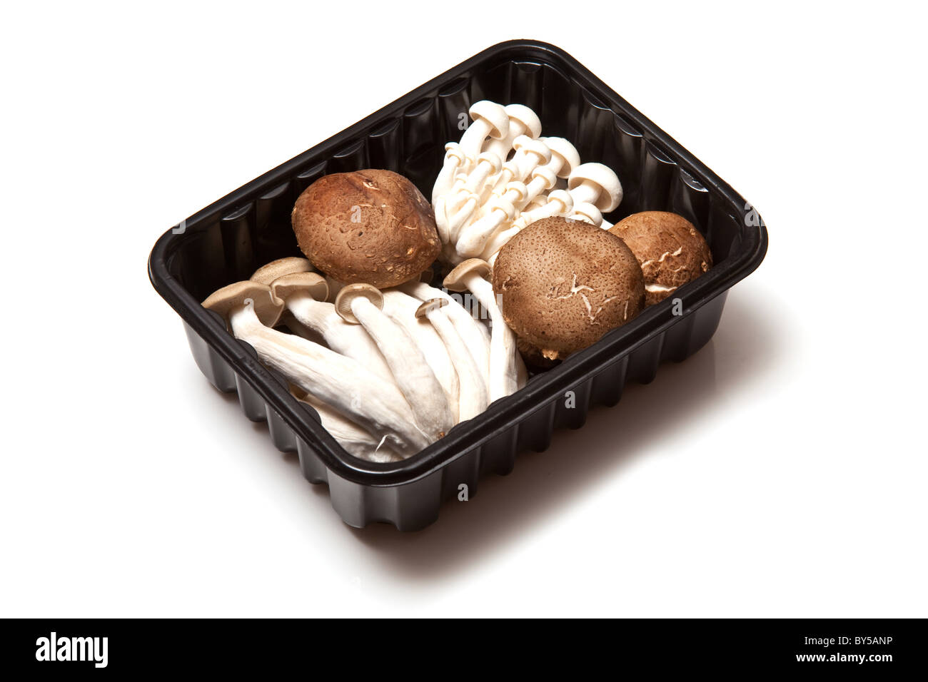 Chinese mushrooms, Enoki,Hon-shimeji and Shitake isolated on a