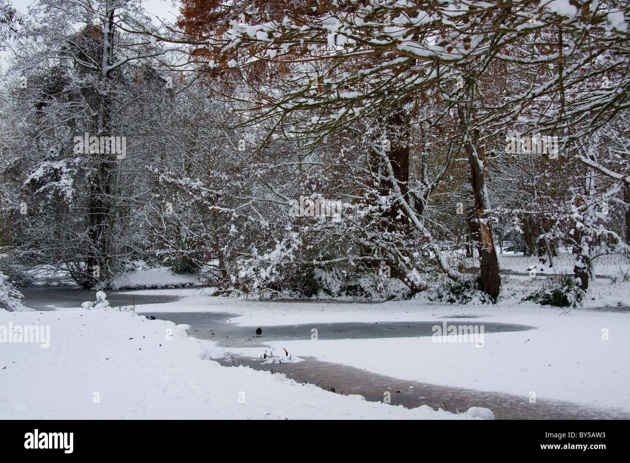 The Longford River Woodland Gardens Bushy Park, Richmond Upon Thames London England Stock Photo