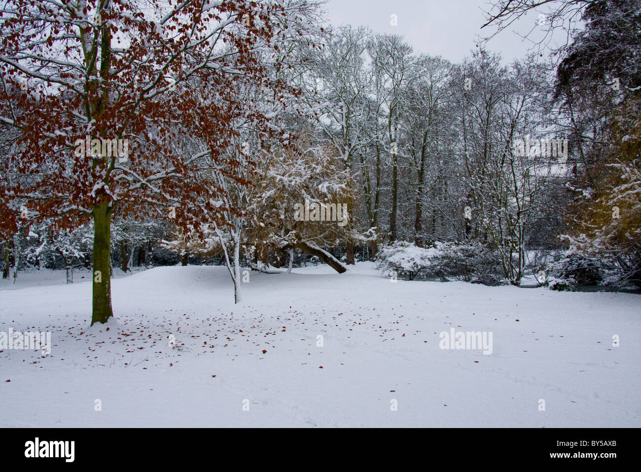 Woodland Gardens Bushy Park, Richmond Upon Thames London England Stock Photo Alamy