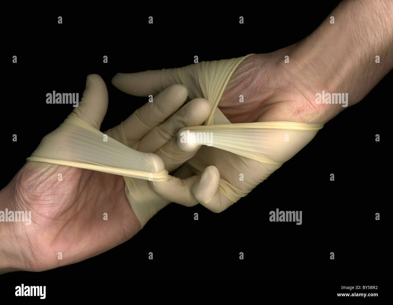 A Man Trying To Pull Off Surgical Gloves Directly Below Hands Only A Man Trying To Pull Off Surgical Gloves Directly Below Hands Only