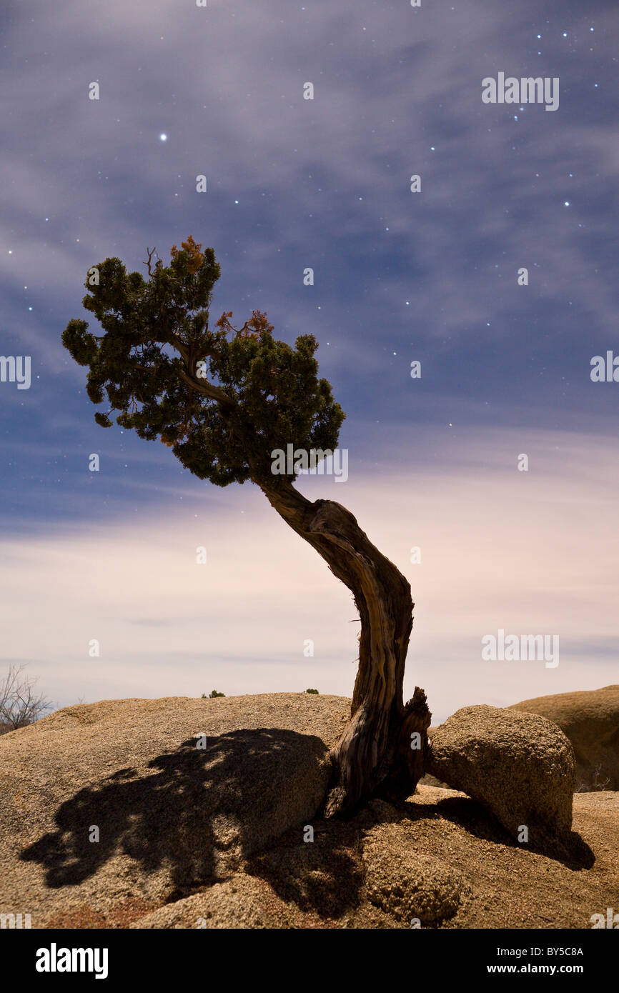 Jumbo rocks national monument hi-res stock photography and images - Alamy