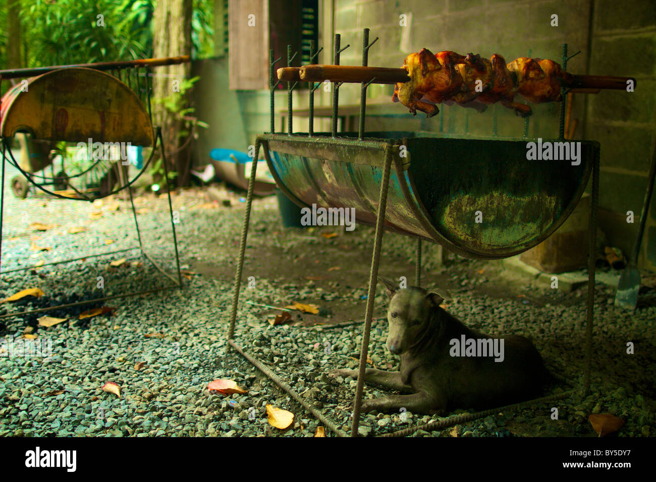 chicken is ready Stock Photo