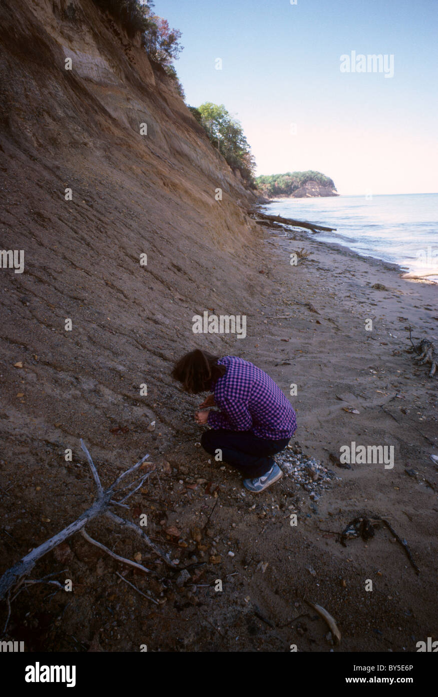 A visitor to Calvert Cliffs State Park in Maryland searches for fossils, seen on October 1986 Stock Photo