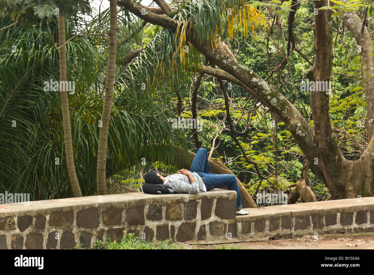 Man napping in Posadas, Argentina. Stock Photo