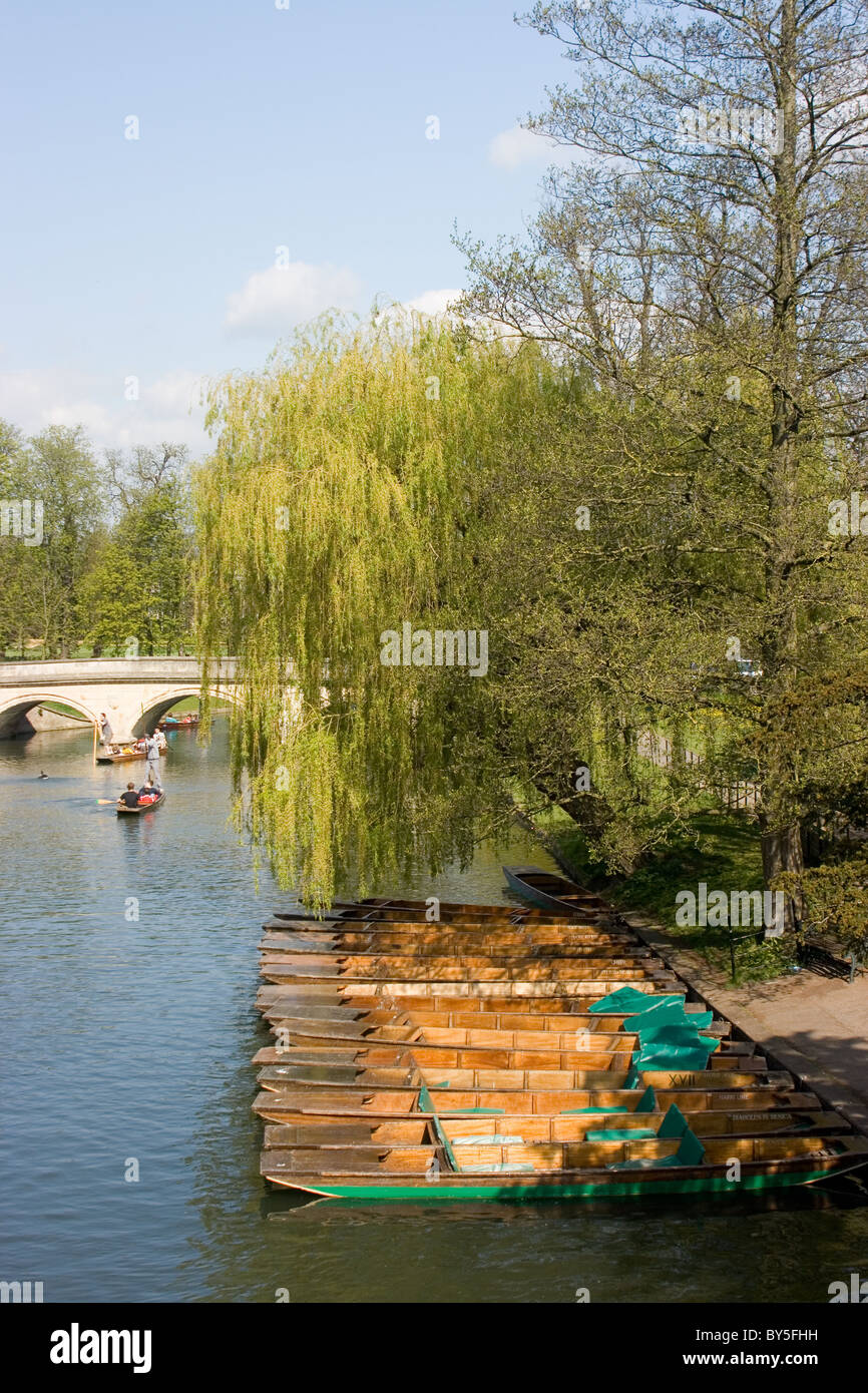 Moored punts on River Cam, Cambridge Stock Photo