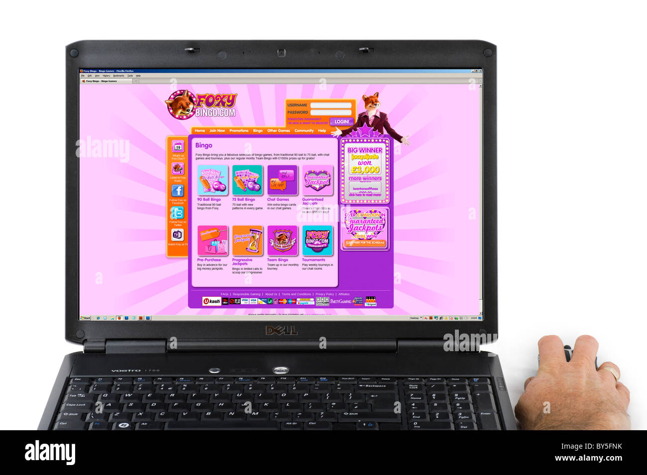Foxy Bingo Online