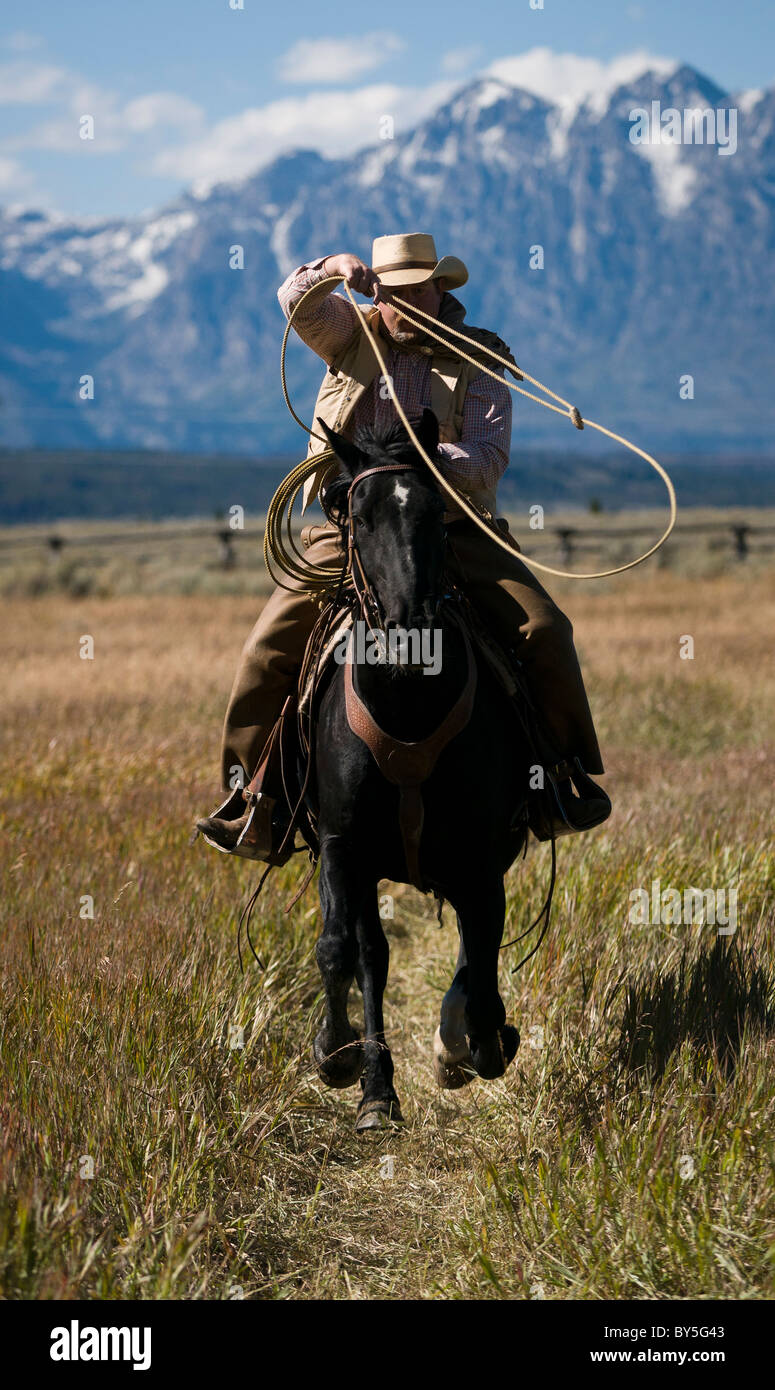 Cowboy on horseback with lasso, snowy Teton Range in the distance Stock Photo