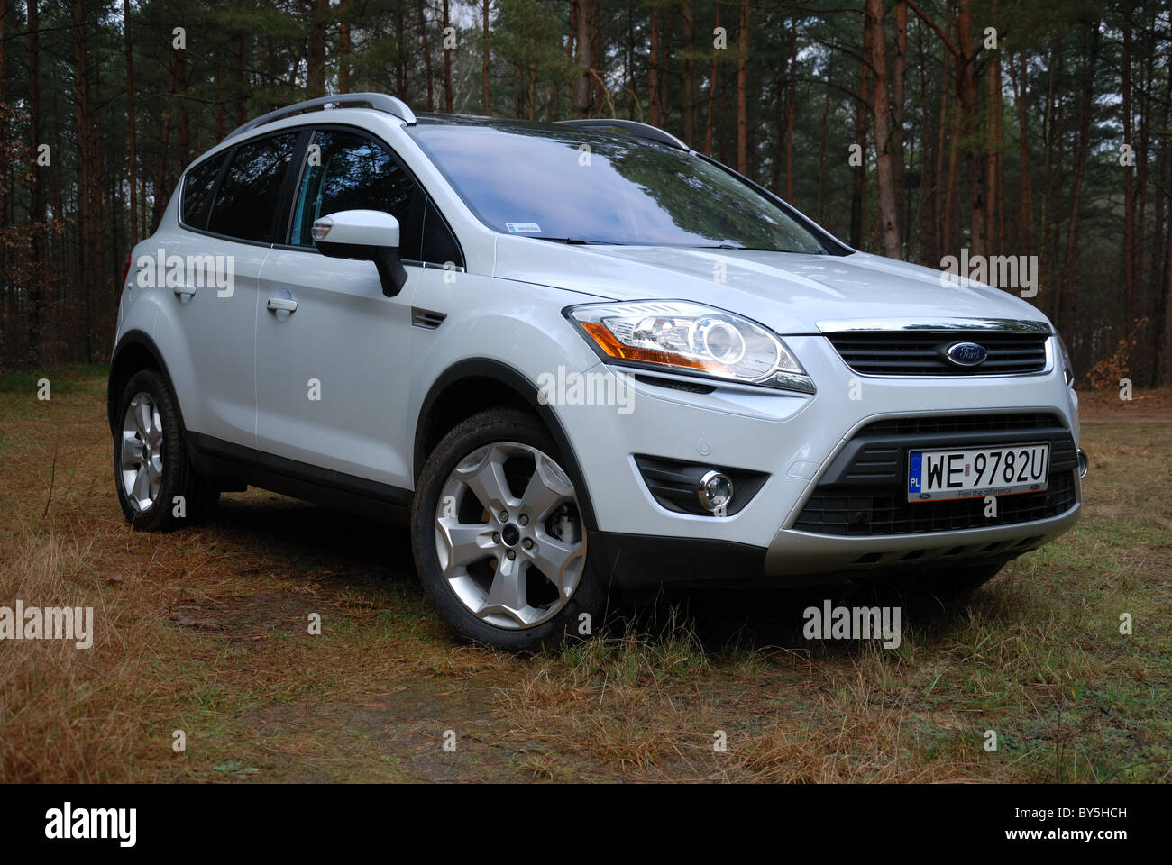 Ford Kuga 2.0 TDCI AWD PowerShift - MY 2008 - white pearl metallic - five  doors (5D) - Popular German compact SUV - in forest Stock Photo - Alamy