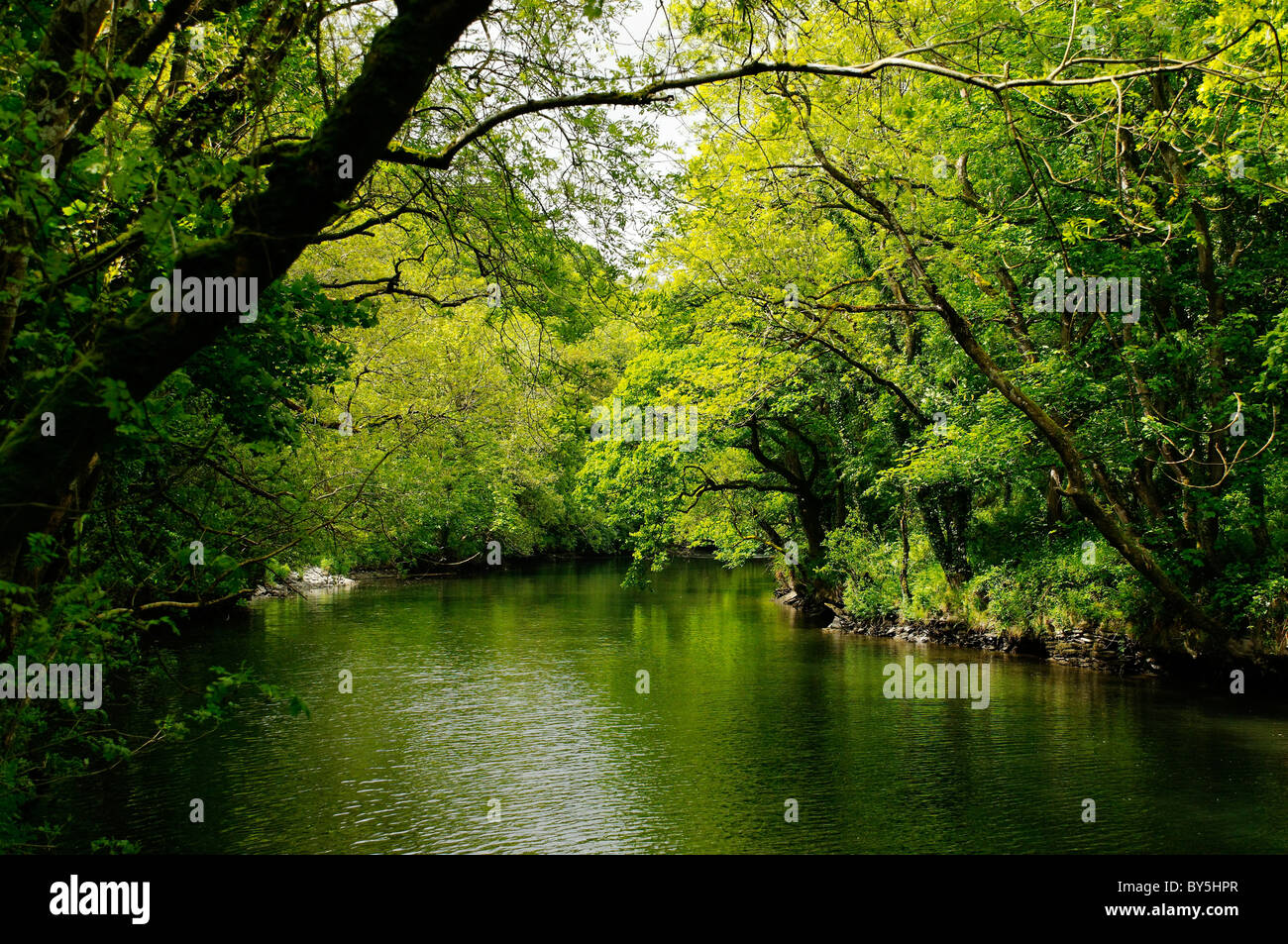 River Teifi, Cardigan Stock Photo