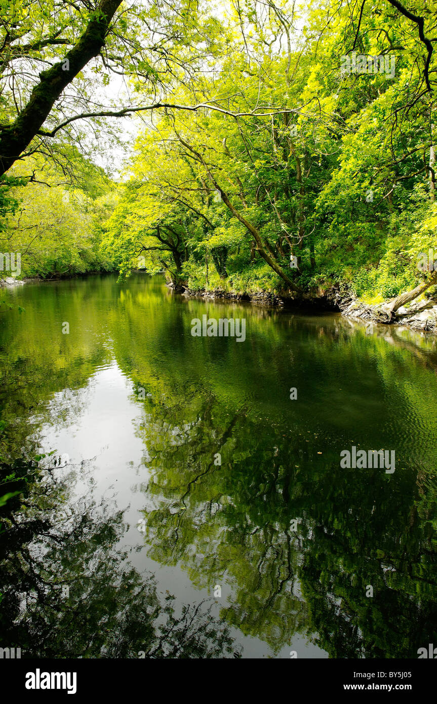 The River Teifi, Cardigan Stock Photo