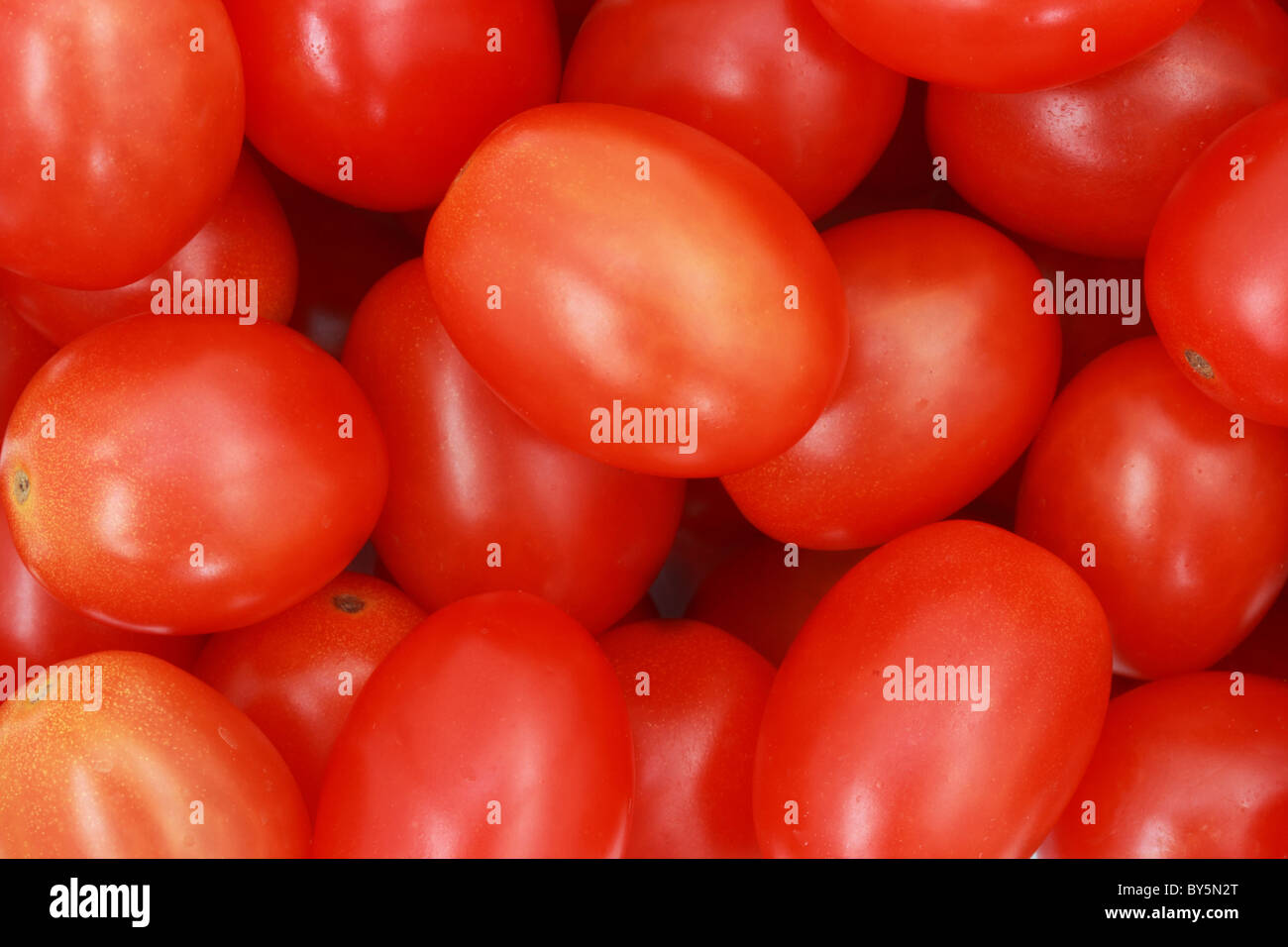 close up of many red cherry tomatoes making a background Stock Photo