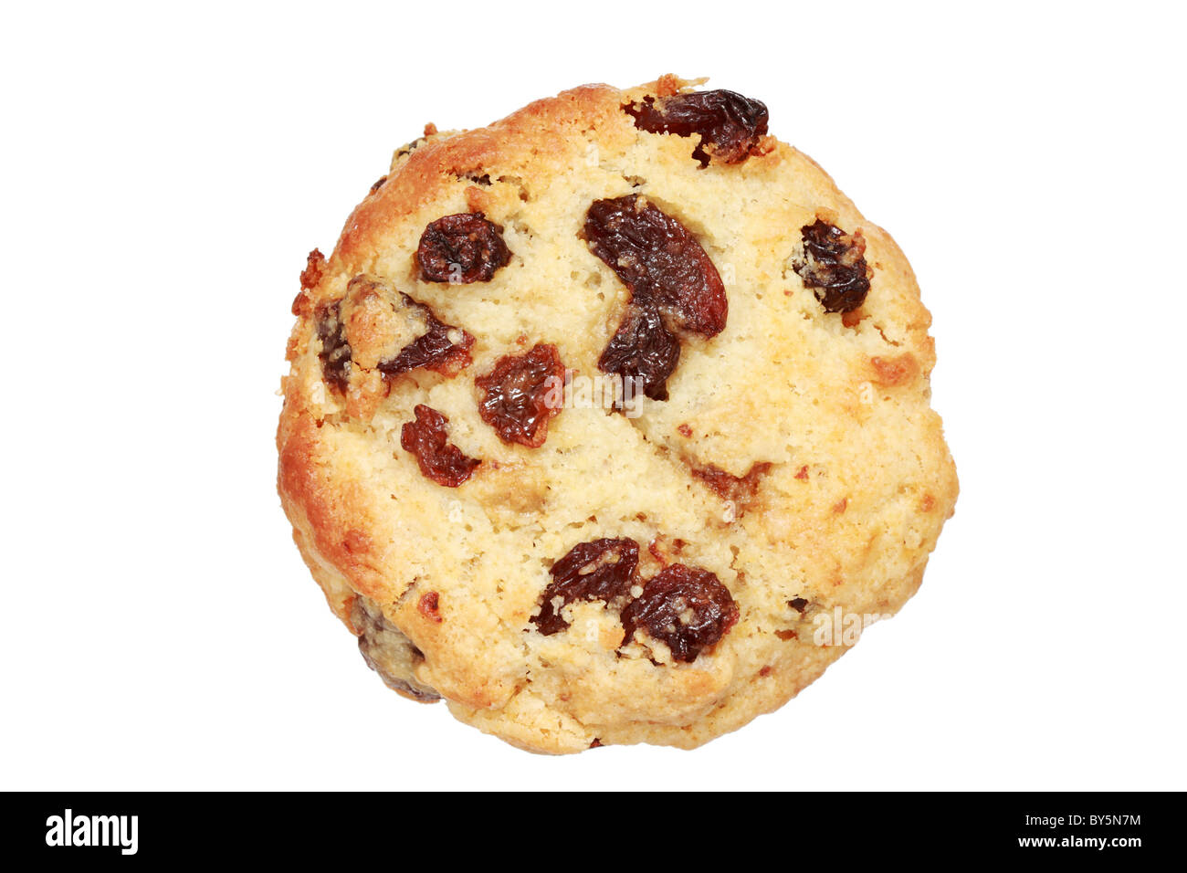 toasted raisin scone isolated on white background Stock Photo