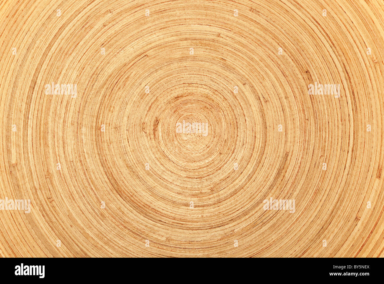 Circular wood texture or background. Stock Photo