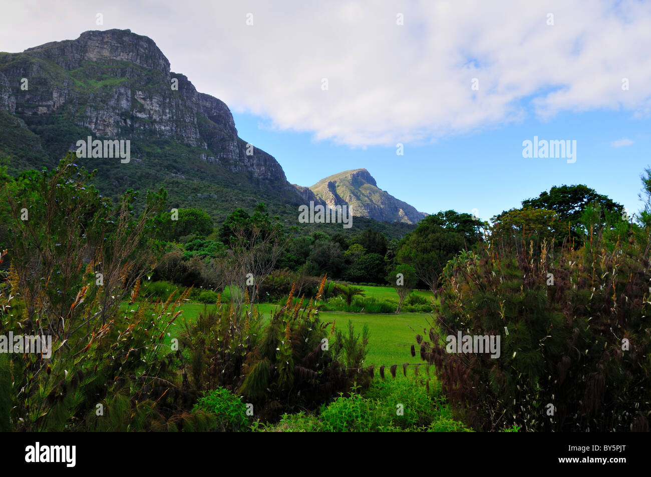 Mountains over the Kirstenbosch National Botanical Garden. Cape Town, South Africa. Stock Photo