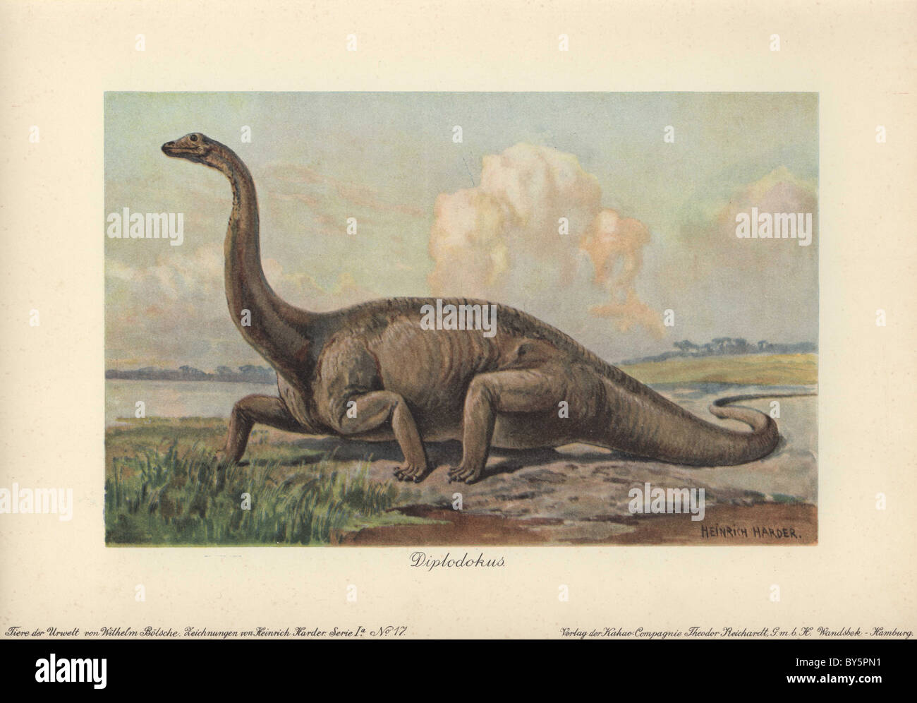 Diplodocus is a genus of extinct diplodocid sauropod dinosaur of the Late Jurassic period. Stock Photo