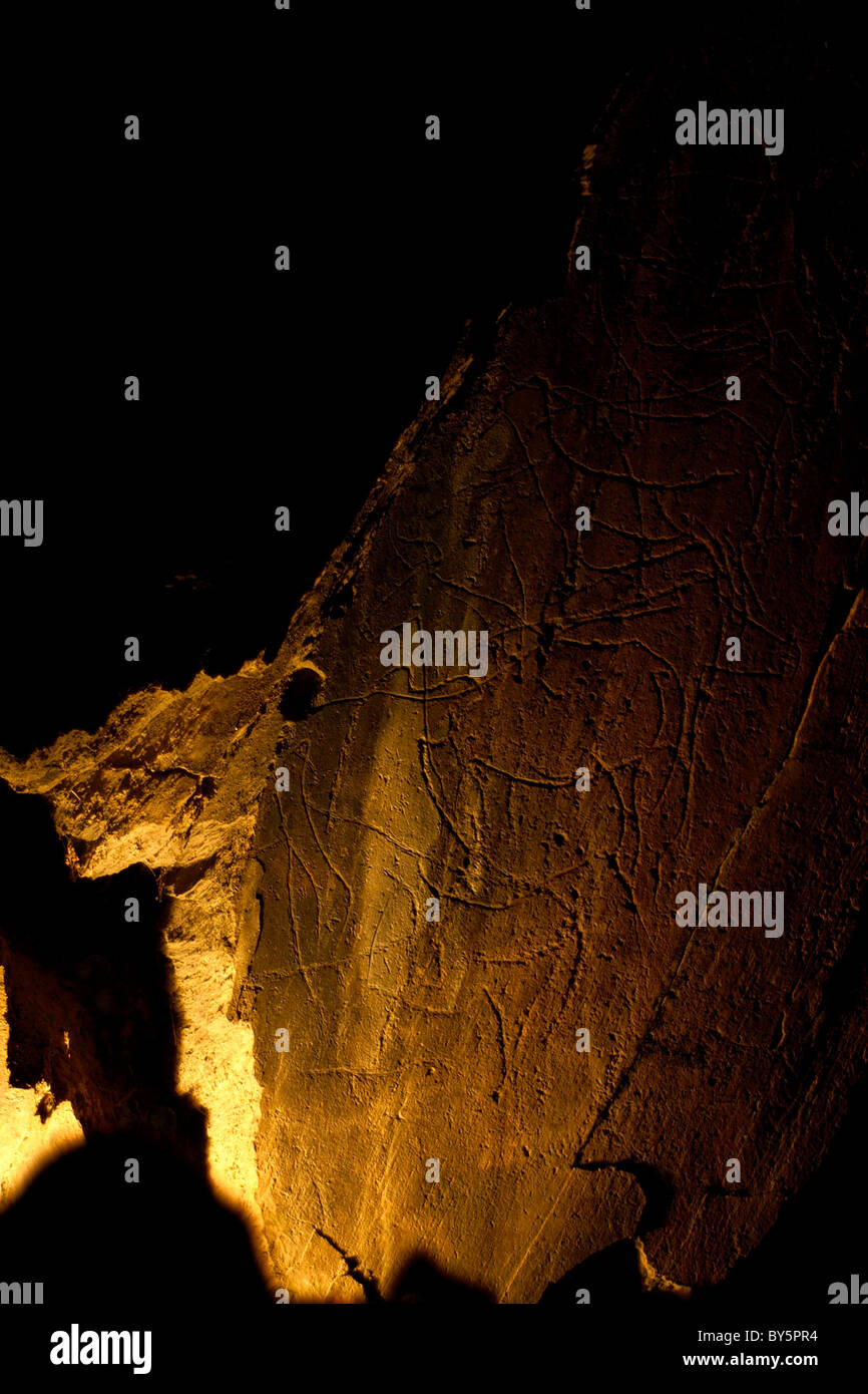 Foz Coa paleolithic drawing Stock Photo