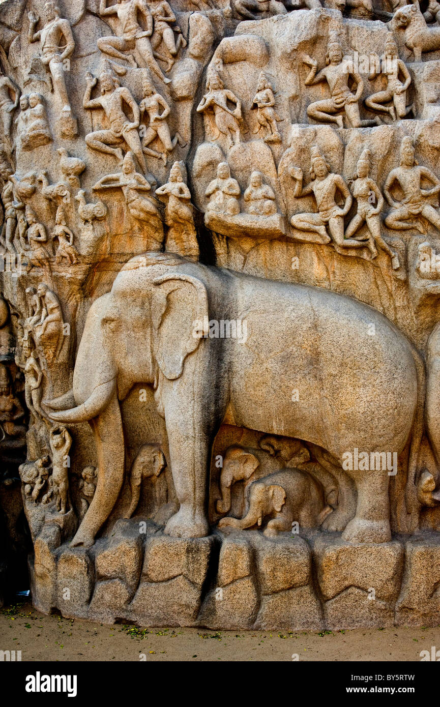 Arjuna's Penance in Mamallapuram India the largest bas-relief in the world  measuring. Represents entire creation Stock Photo - Alamy
