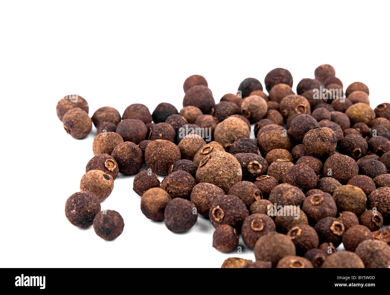 Allspice berry hires stock photography and images Alamy
