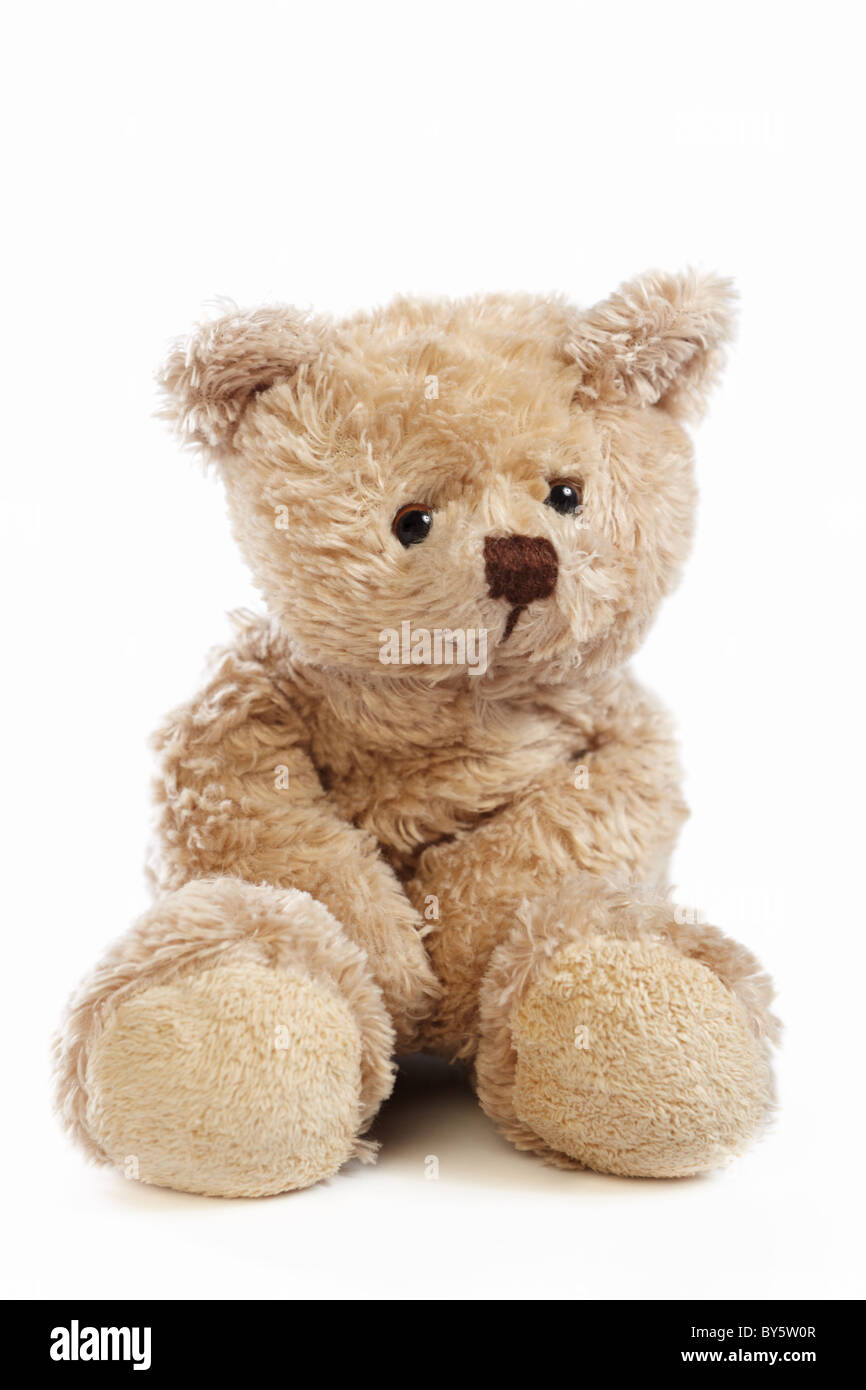 A Teddy bear doll isolated on white background Stock Photo - Alamy