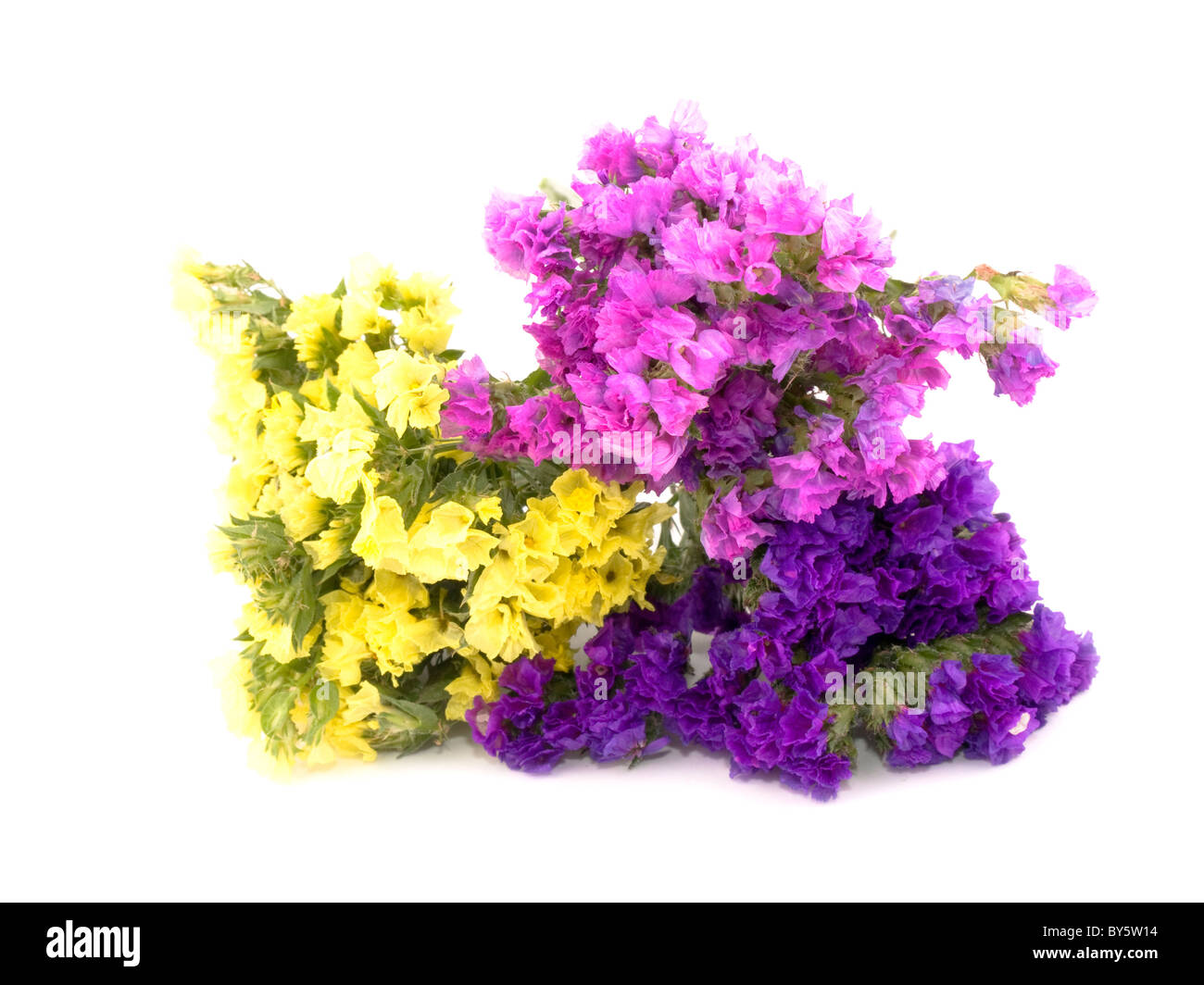 Bouquet of beautiful statice flowers on white background. Stock Photo