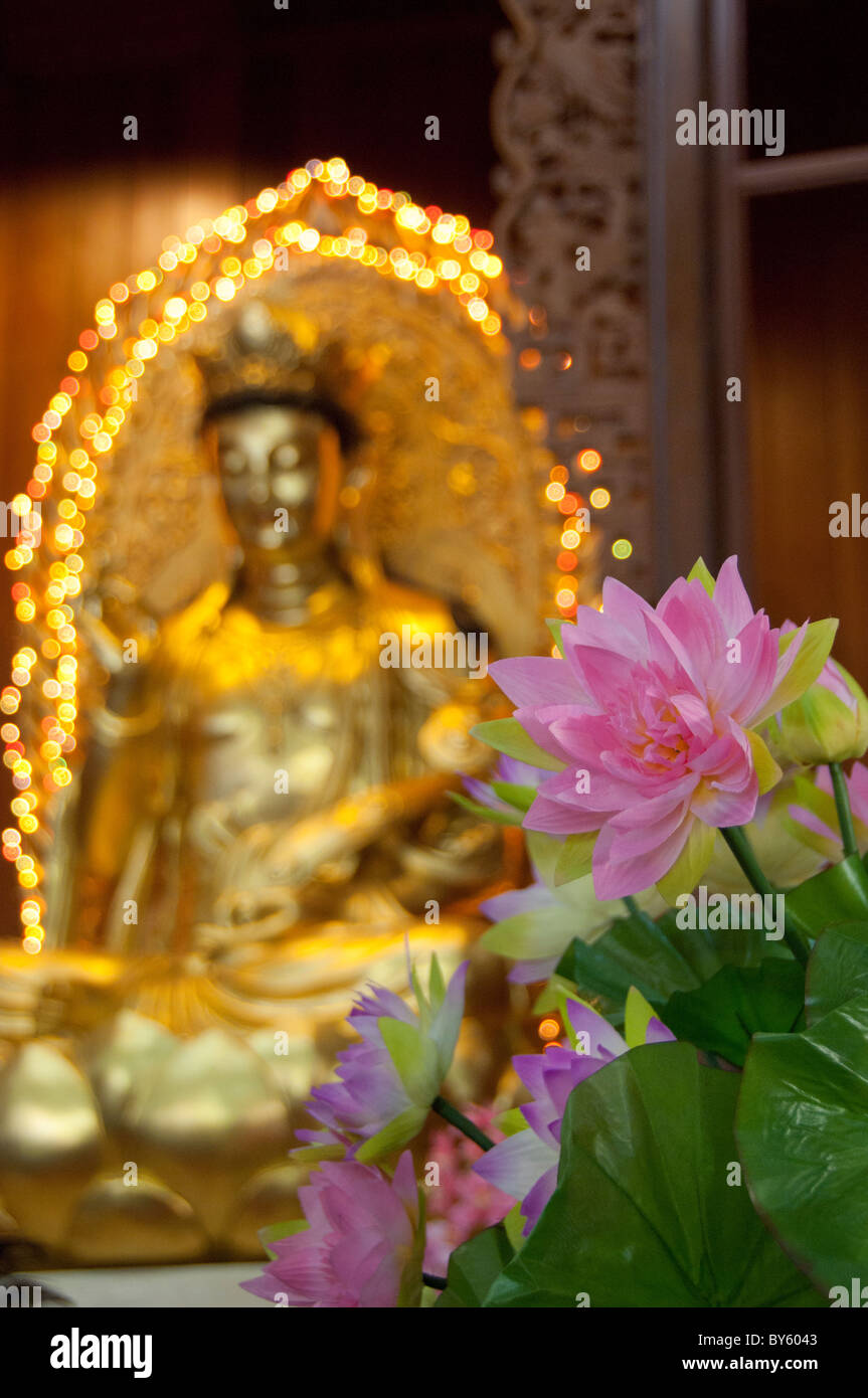 Malaysia, Island of Penang. Kek Lok Si Temple, largest temple in Southeast Asia. Pink lotus flowers in front of gold statue. Stock Photo
