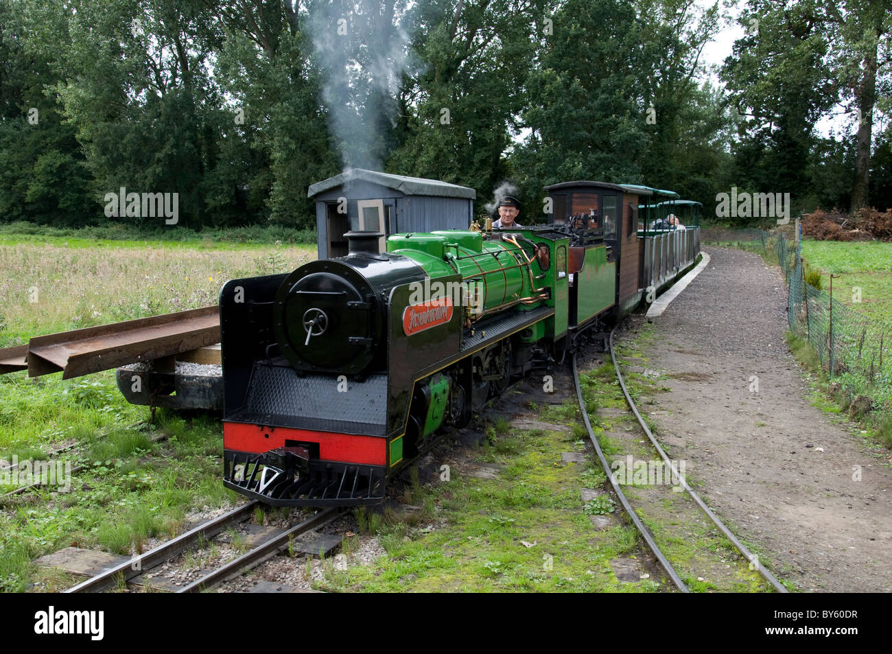 German-made small-scale steam locomotive at Bressingham Steam Museum in Norfolk, England. Stock Photo