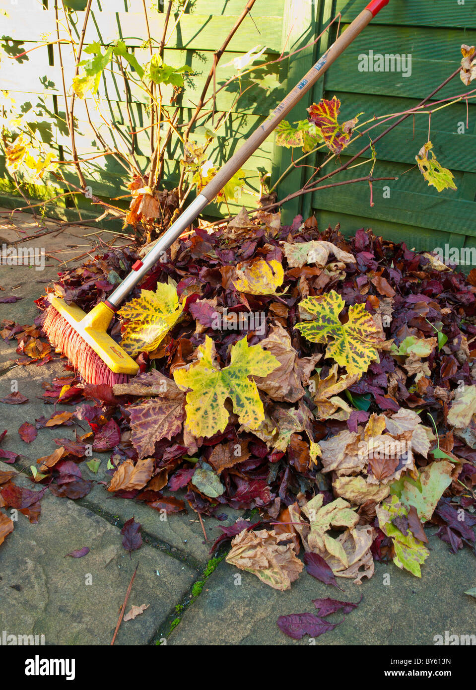 PILE OF AUTUMN LEAVES ON PATIO WITH BRUSH Stock Photo