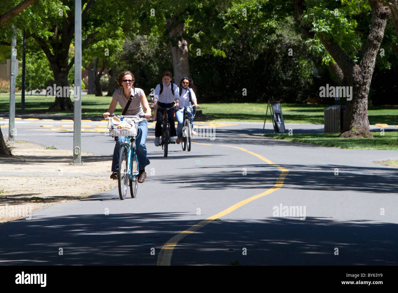 Bike-only paths on the campus of UC Davis, California, USA. Stock Photo