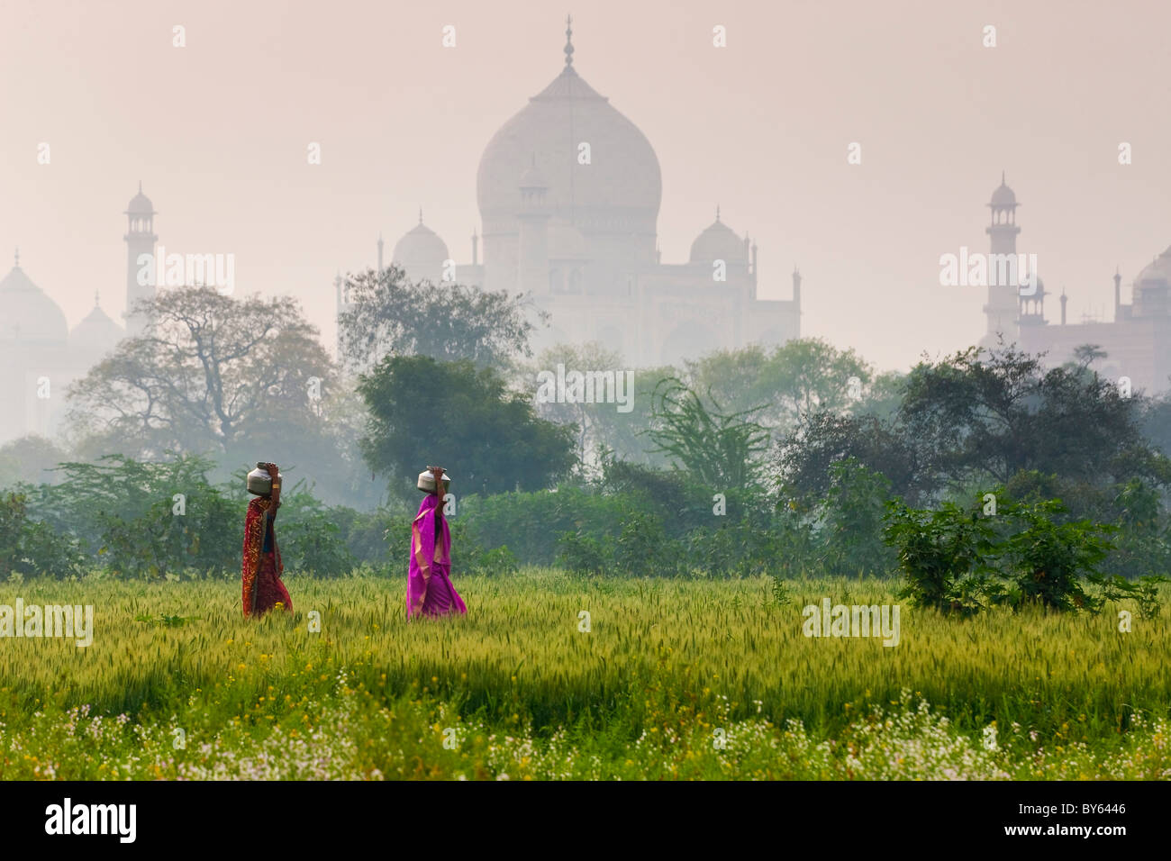 Carrying water pots, Taj Mahal, Agra, India Stock Photo