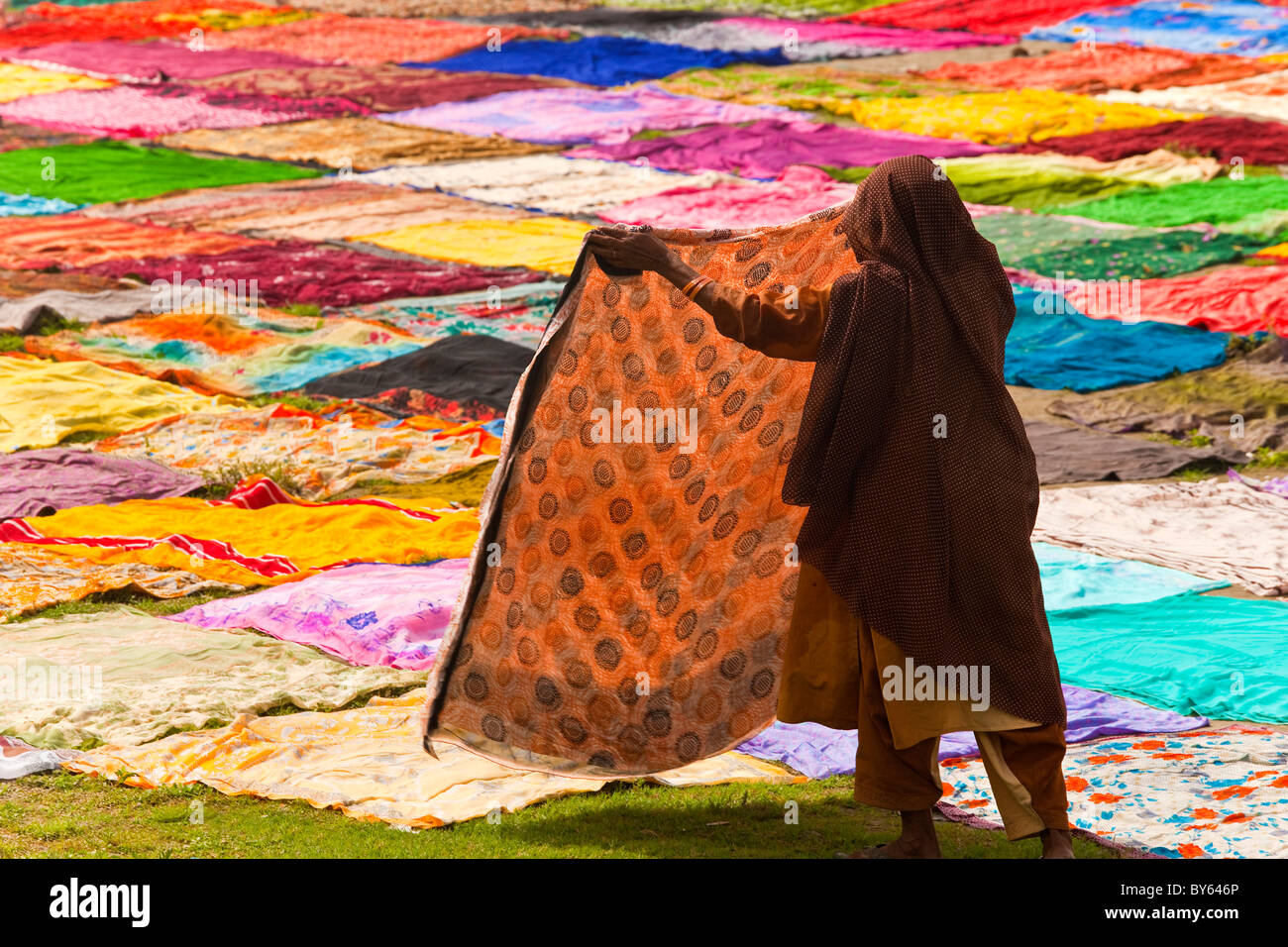 Drying sari's after washing on banks of River Yamuna, Agra, India Stock Photo