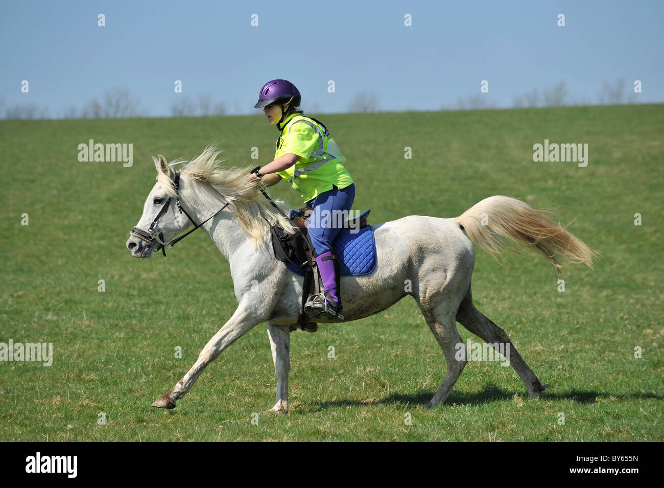 endurance horse racer Stock Photo