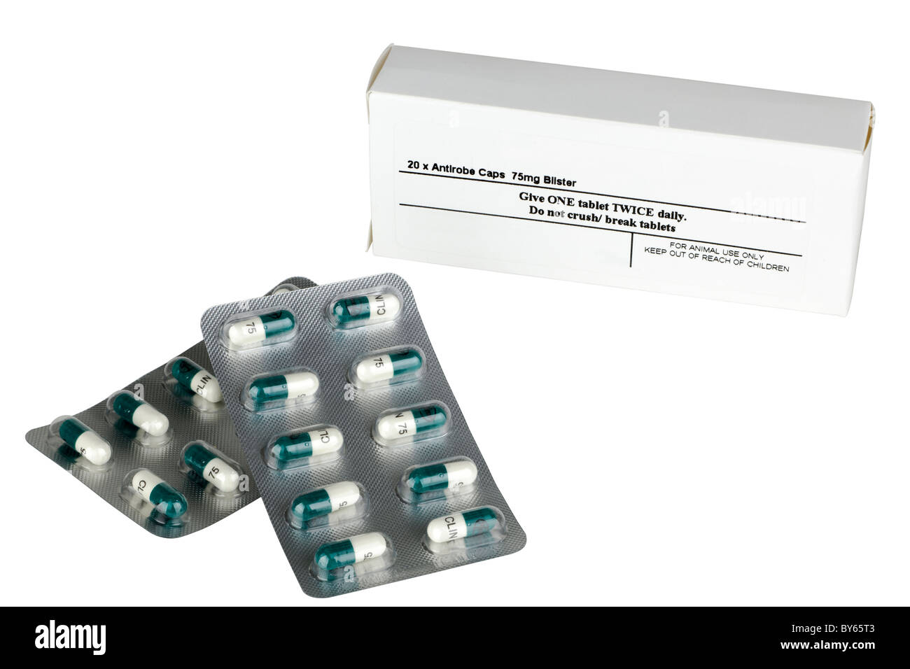 20 blister pack of Antirobe capsules and box antibiotics for dogs Stock Photo