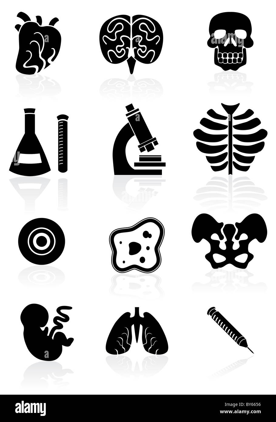 Biology themed buttons in a basic black color. Stock Photo